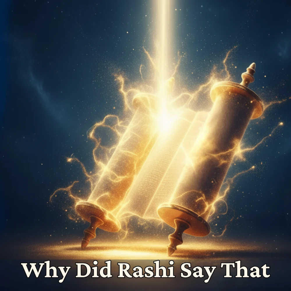 Why Did Rashi Say That? podcast cover